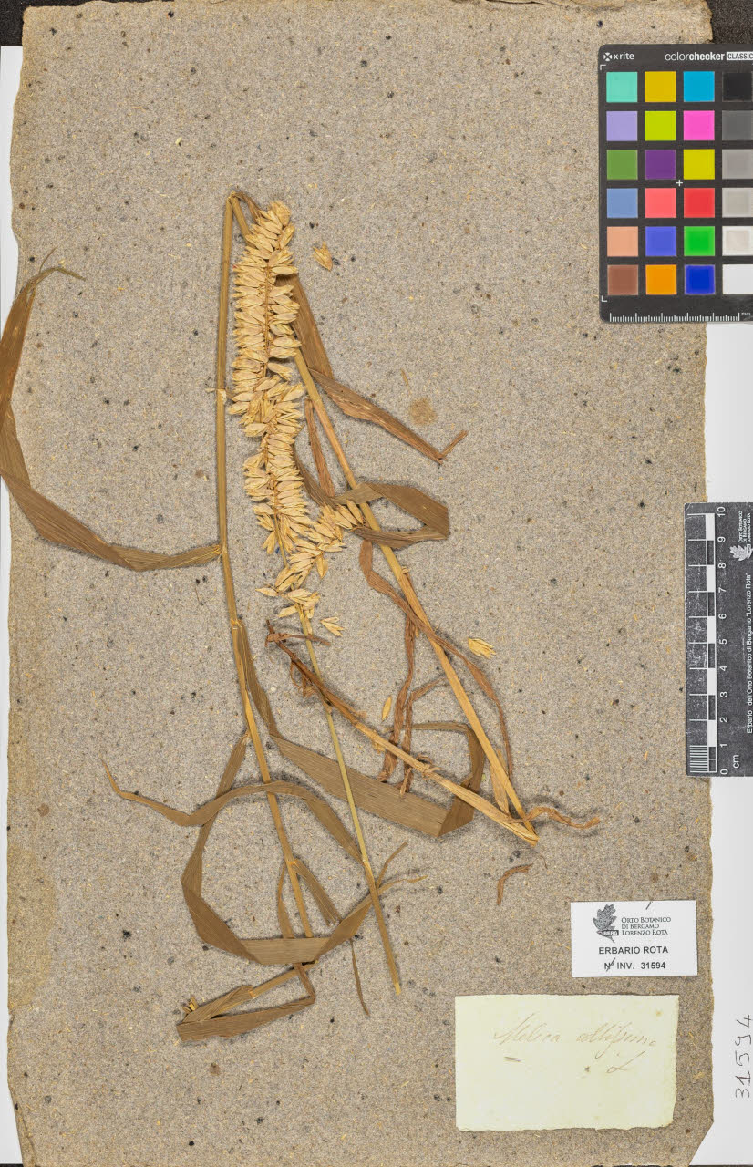 SW_BNB_s3090-09635_IMG-0000000001