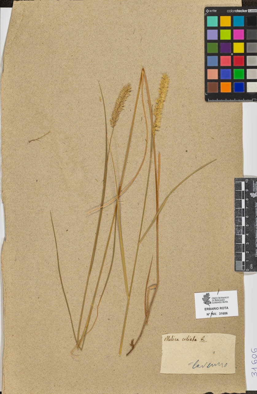 SW_BNB_s3090-09647_IMG-0000000001