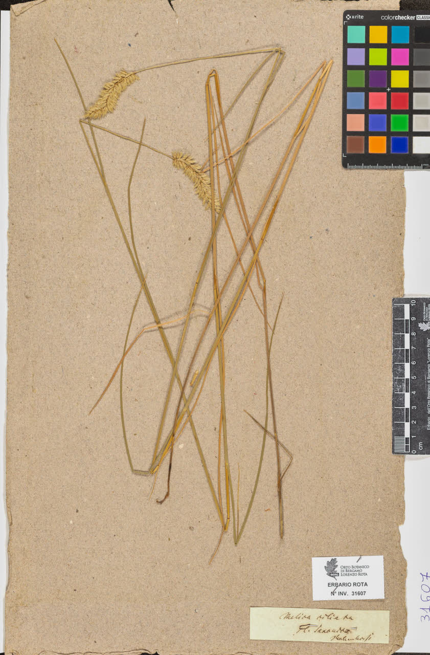 SW_BNB_s3090-09648_IMG-0000000001