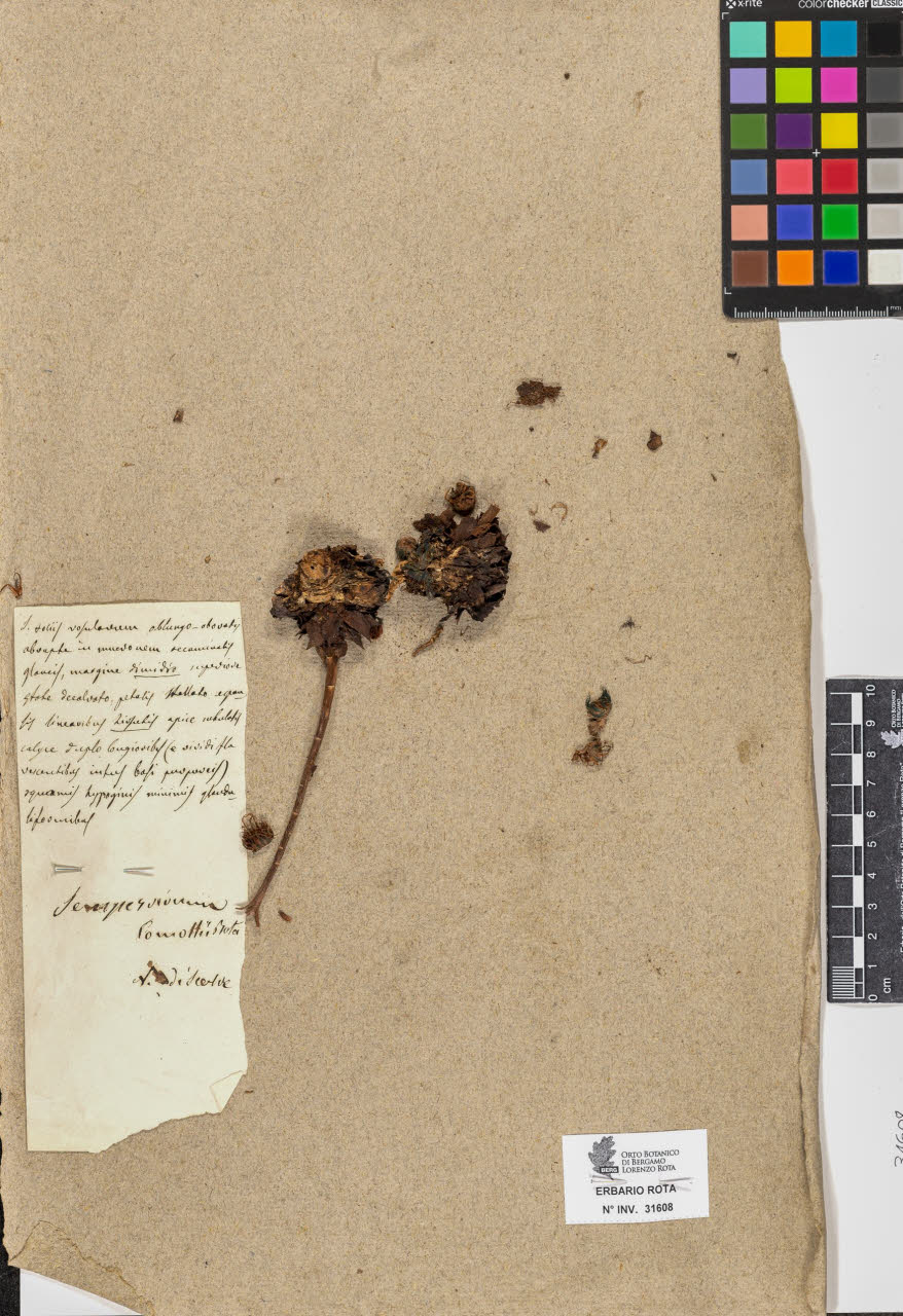 SW_BNB_s3090-09649_IMG-0000000001