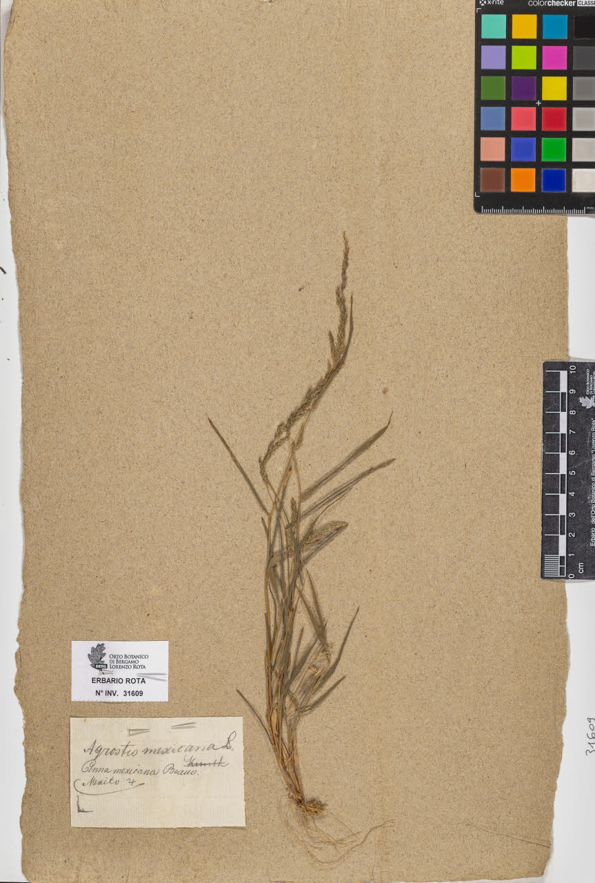 SW_BNB_s3090-09650_IMG-0000000001