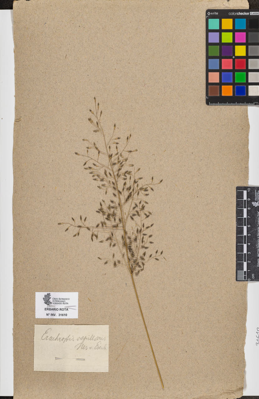 SW_BNB_s3090-09651_IMG-0000000001