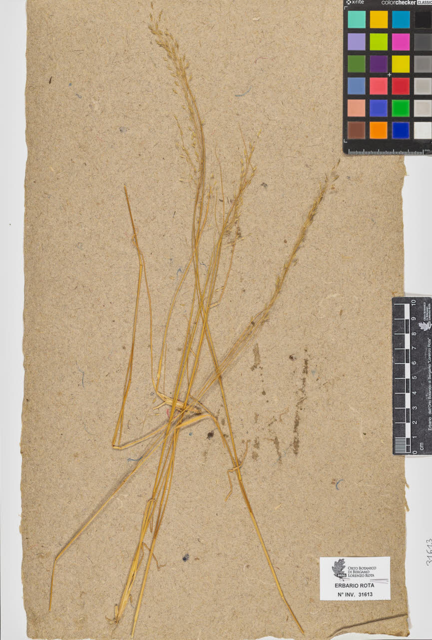 SW_BNB_s3090-09654_IMG-0000000001