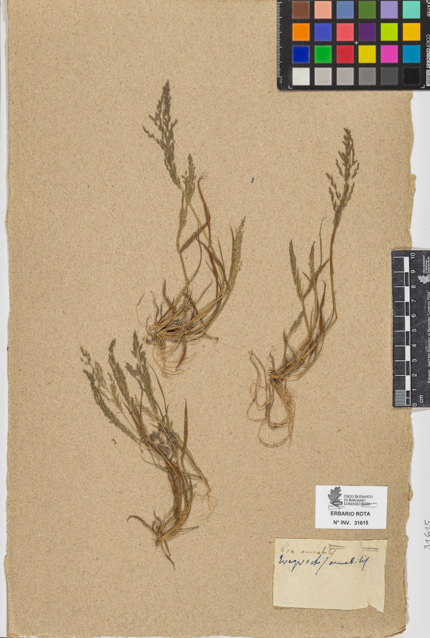 SW_BNB_s3090-09656_IMG-0000000001