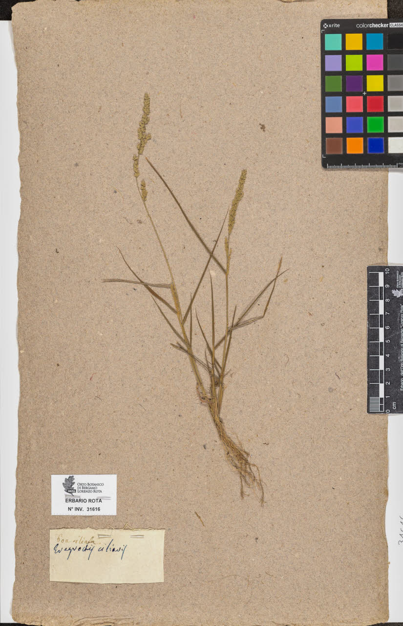 SW_BNB_s3090-09657_IMG-0000000001