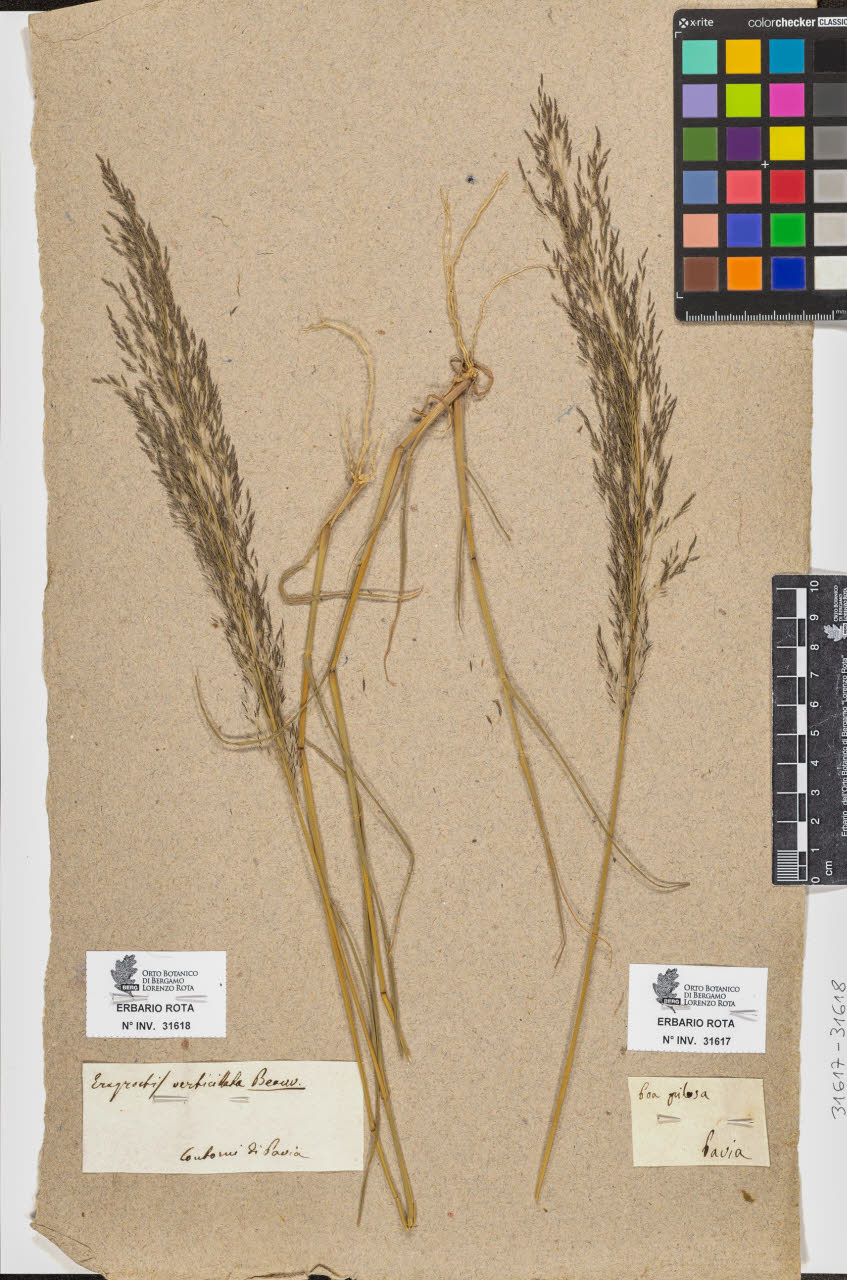 SW_BNB_s3090-09659_IMG-0000000001