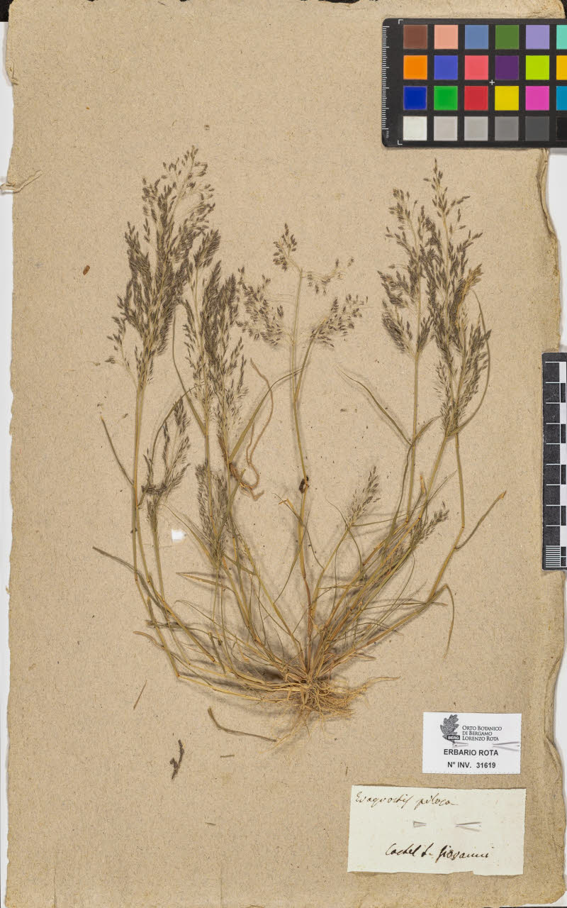 SW_BNB_s3090-09660_IMG-0000000001