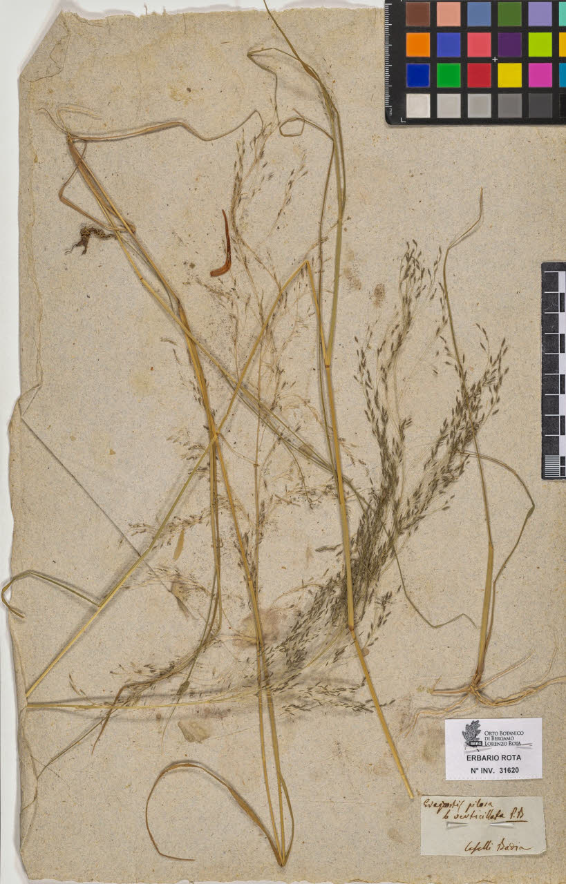 SW_BNB_s3090-09661_IMG-0000000001