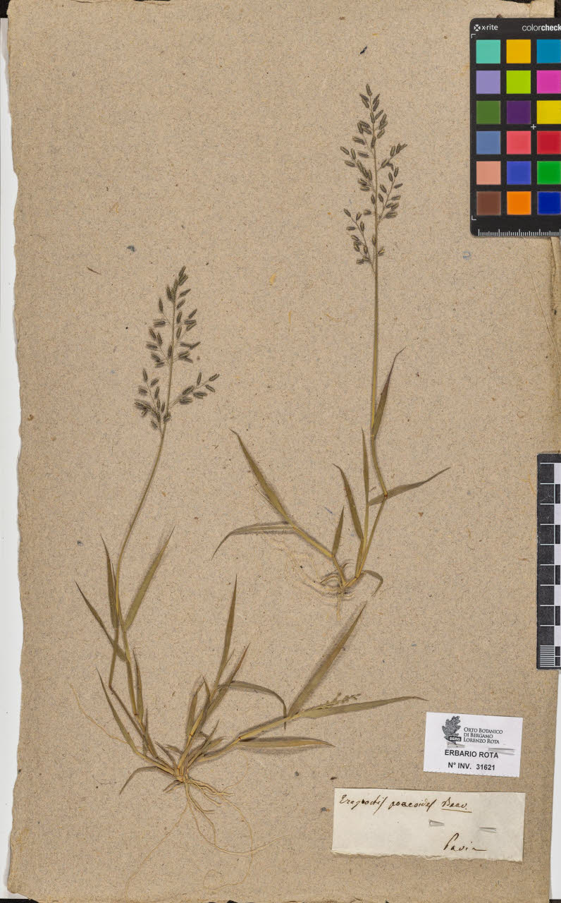 SW_BNB_s3090-09662_IMG-0000000001