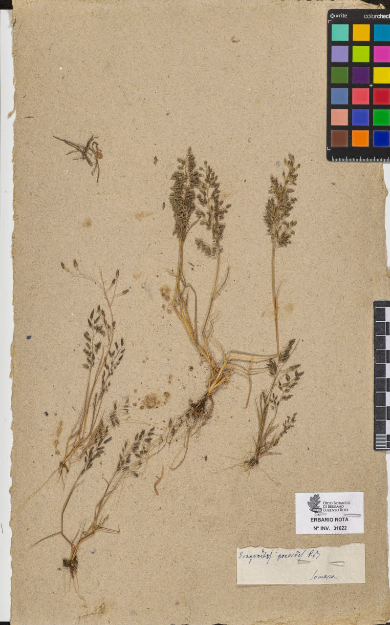 SW_BNB_s3090-09663_IMG-0000000001