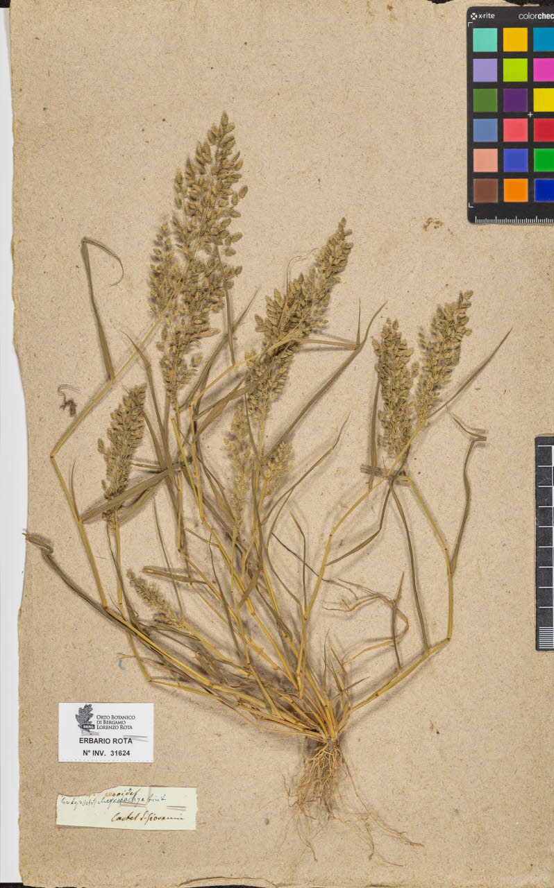 SW_BNB_s3090-09665_IMG-0000000001