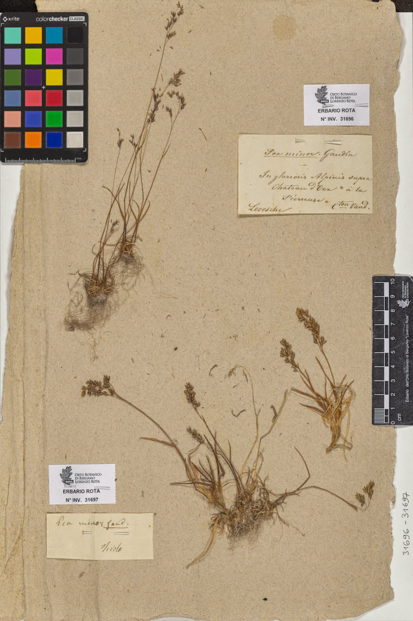 SW_BNB_s3090-09737_IMG-0000000001