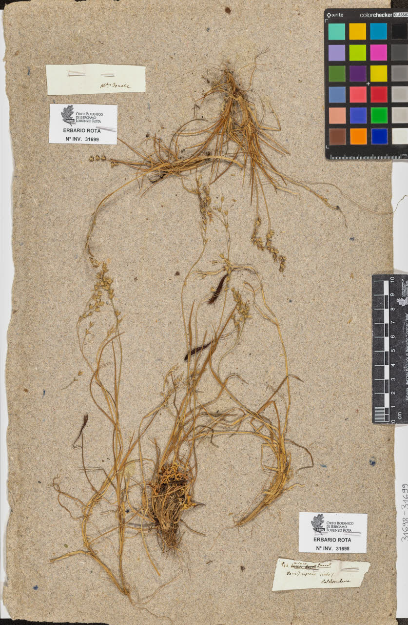 SW_BNB_s3090-09739_IMG-0000000001