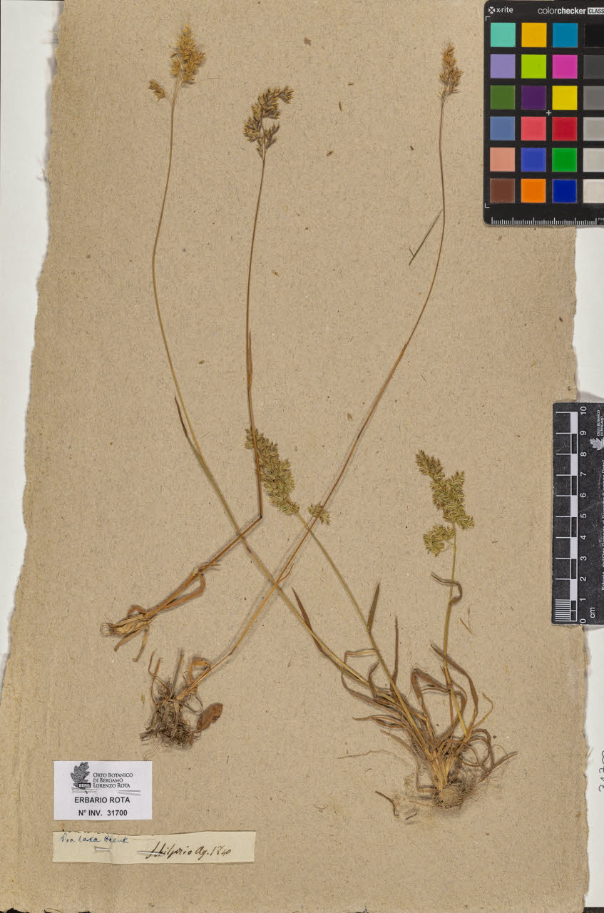 SW_BNB_s3090-09741_IMG-0000000001