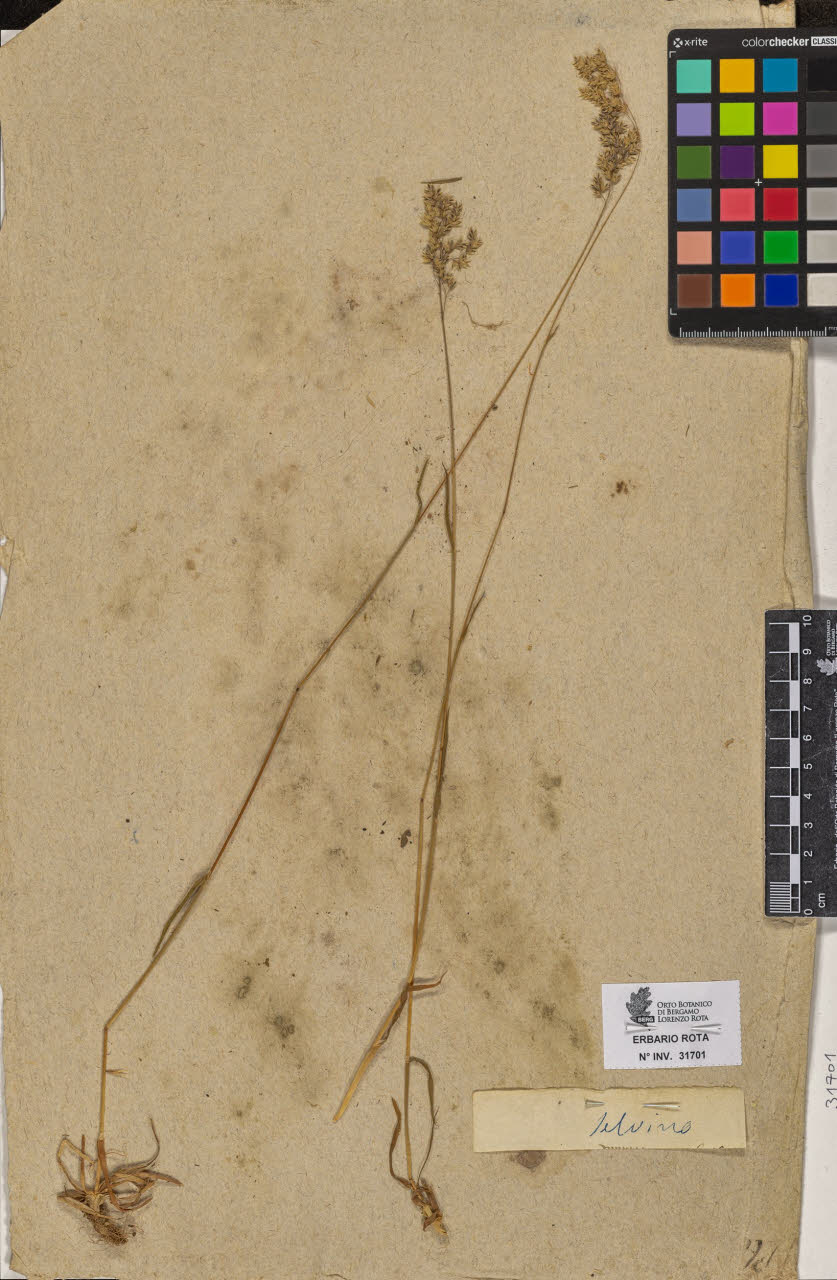 SW_BNB_s3090-09742_IMG-0000000001