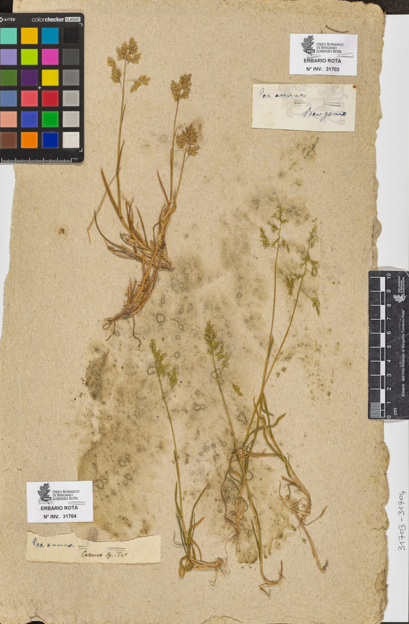 SW_BNB_s3090-09745_IMG-0000000001