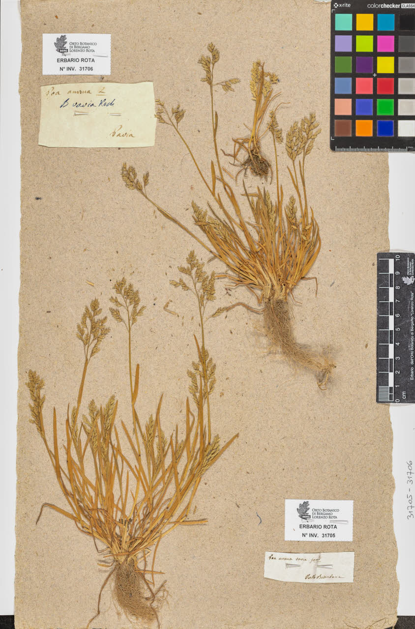 SW_BNB_s3090-09746_IMG-0000000001