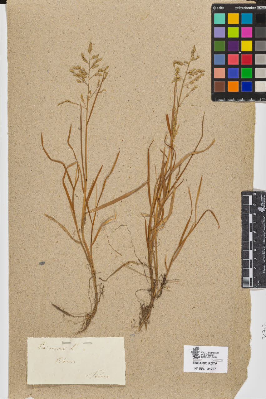 SW_BNB_s3090-09748_IMG-0000000001