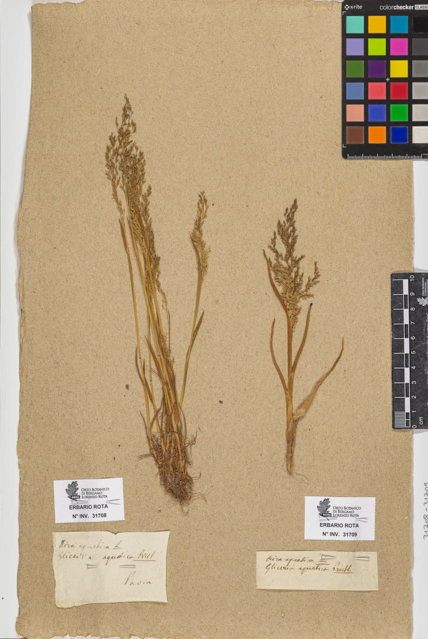 SW_BNB_s3090-09749_IMG-0000000001