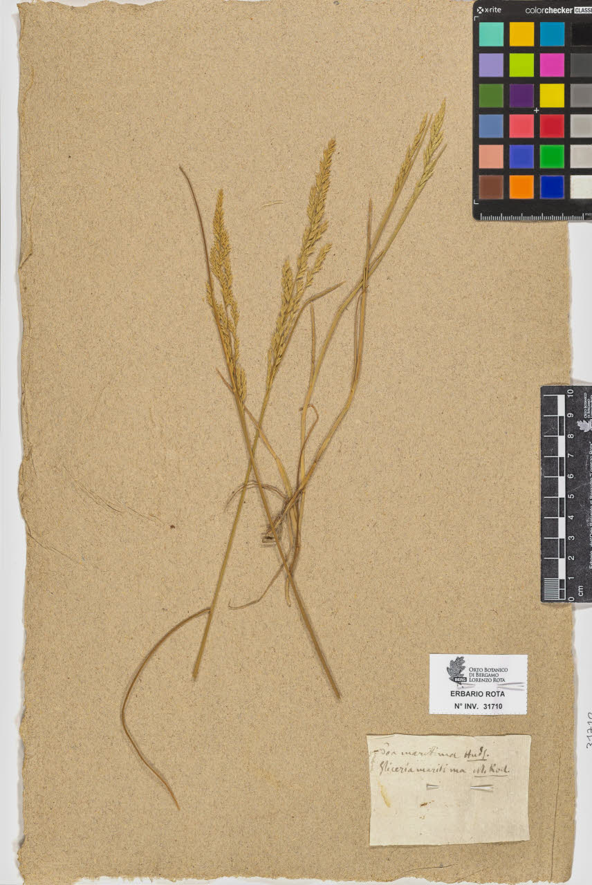 SW_BNB_s3090-09751_IMG-0000000001