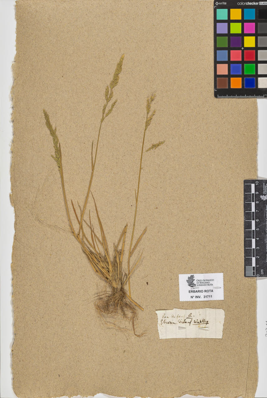 SW_BNB_s3090-09752_IMG-0000000001