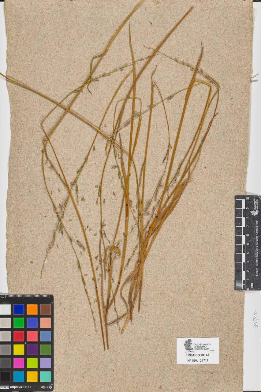 SW_BNB_s3090-09753_IMG-0000000001