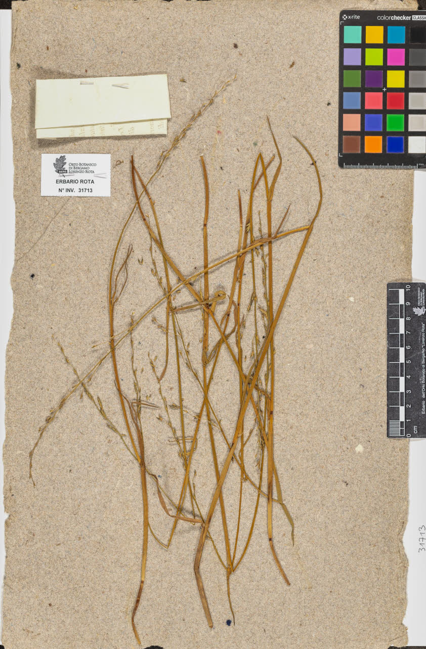 SW_BNB_s3090-09754_IMG-0000000001