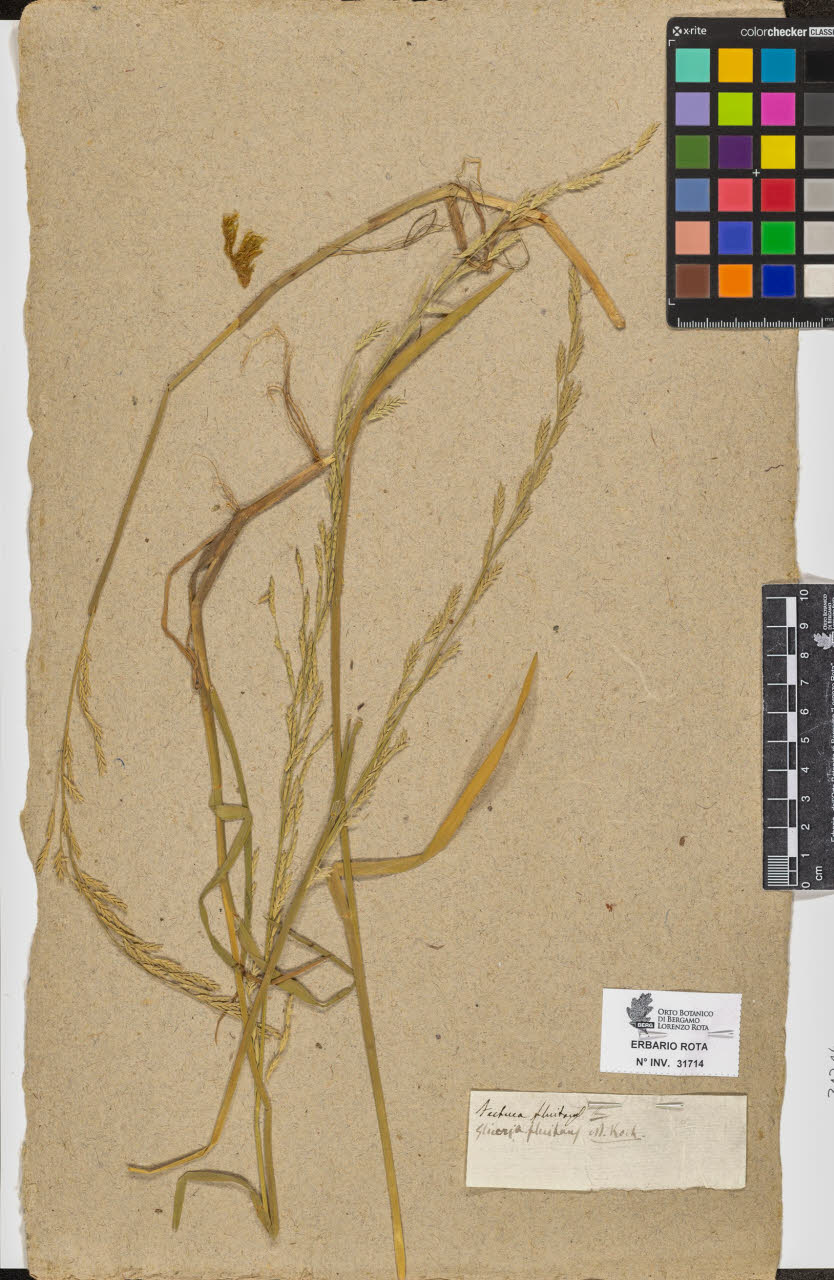 SW_BNB_s3090-09755_IMG-0000000001