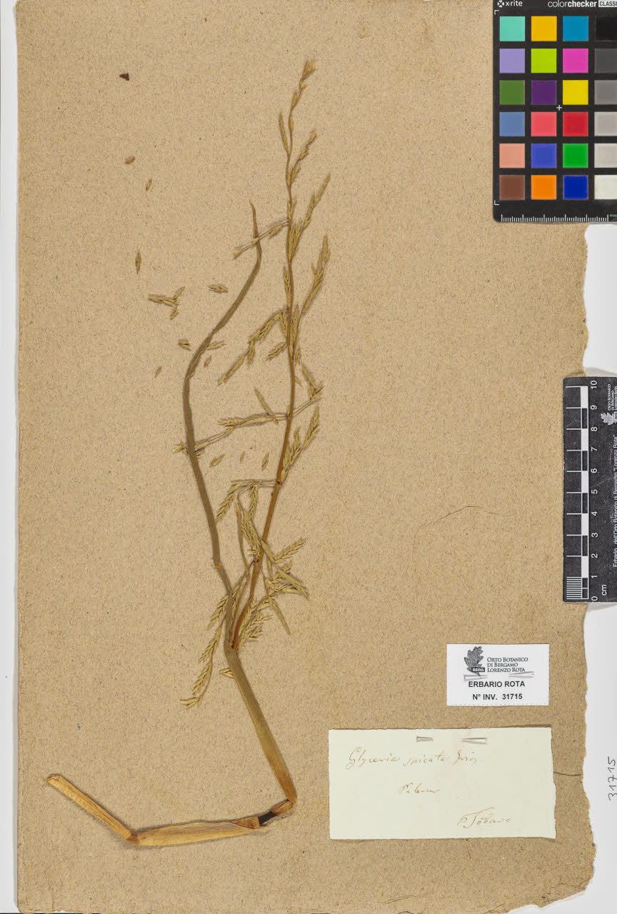 SW_BNB_s3090-09756_IMG-0000000001