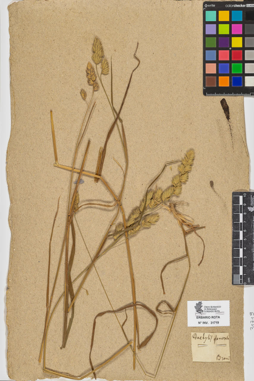 SW_BNB_s3090-09760_IMG-0000000001