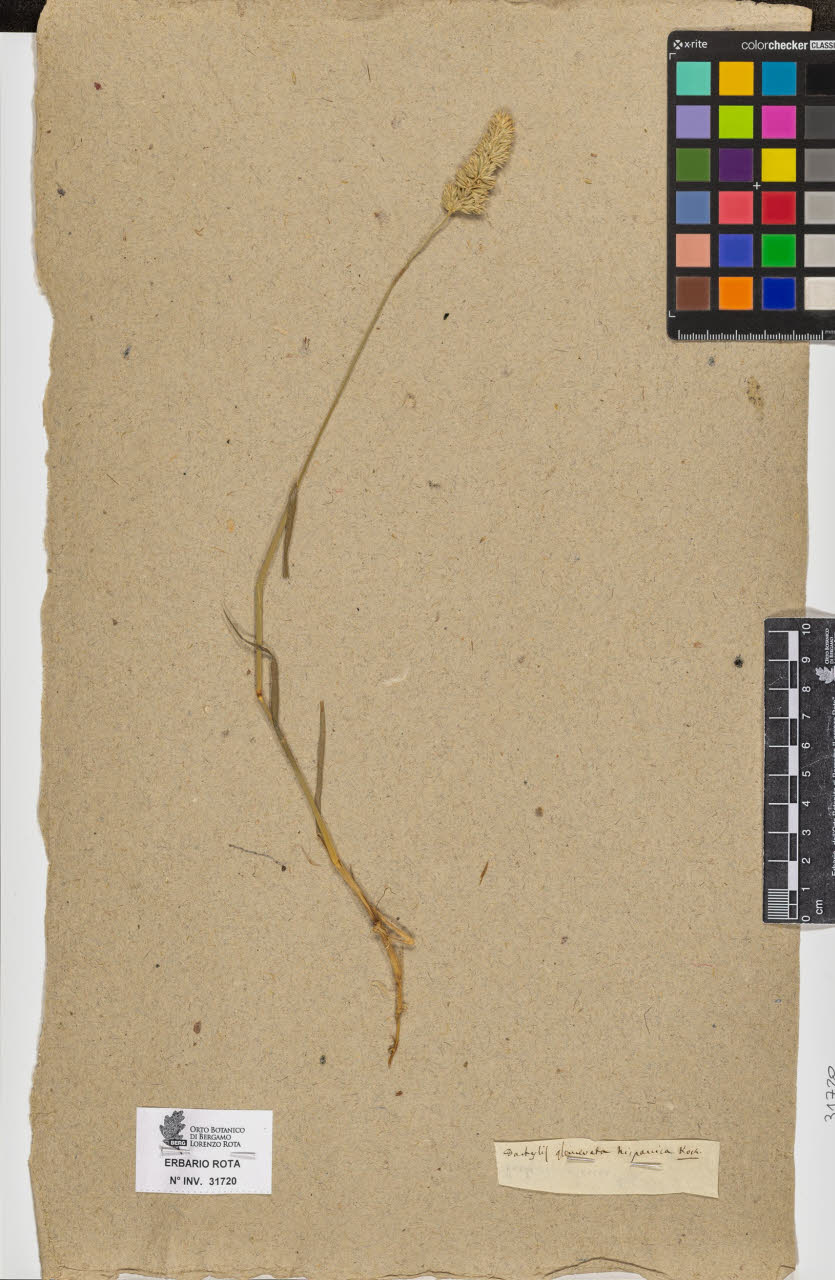 SW_BNB_s3090-09761_IMG-0000000001