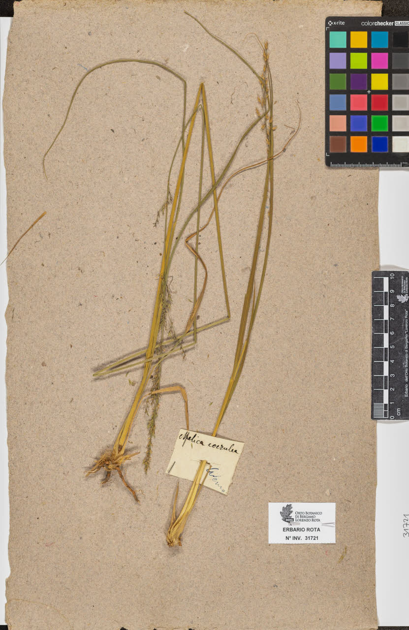 SW_BNB_s3090-09762_IMG-0000000001