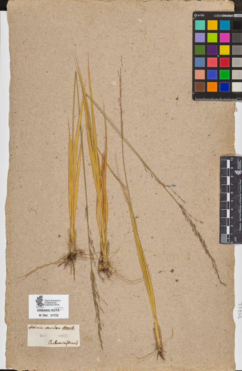 SW_BNB_s3090-09763_IMG-0000000001