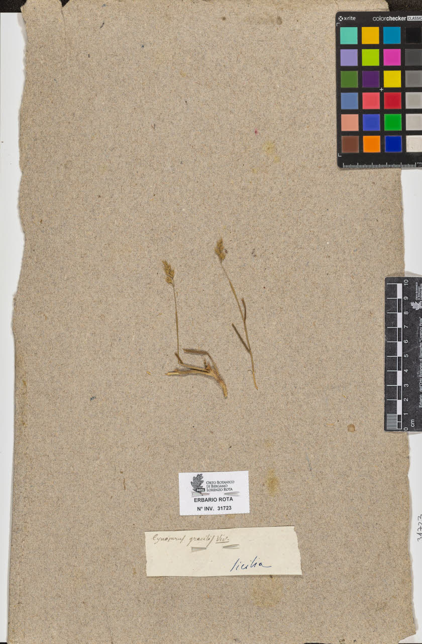 SW_BNB_s3090-09764_IMG-0000000001