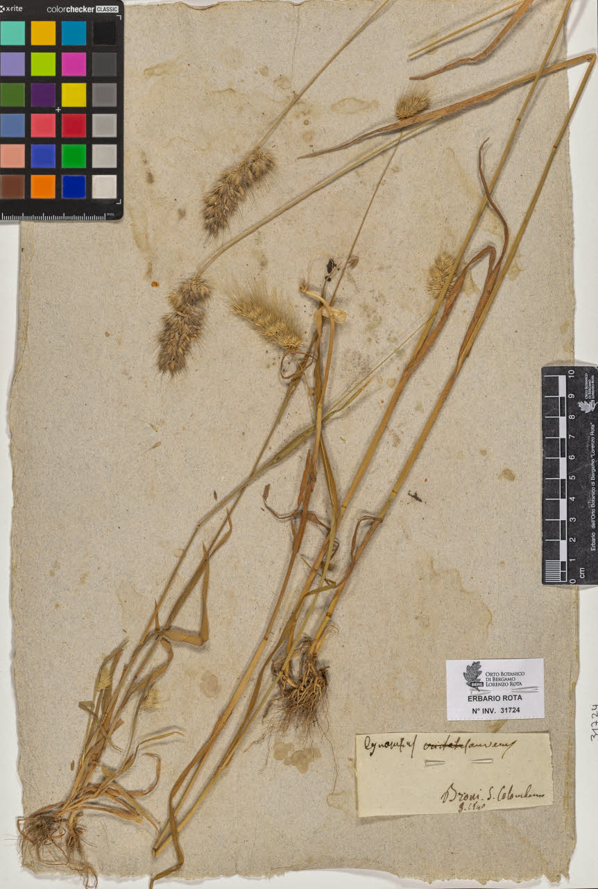 SW_BNB_s3090-09765_IMG-0000000001