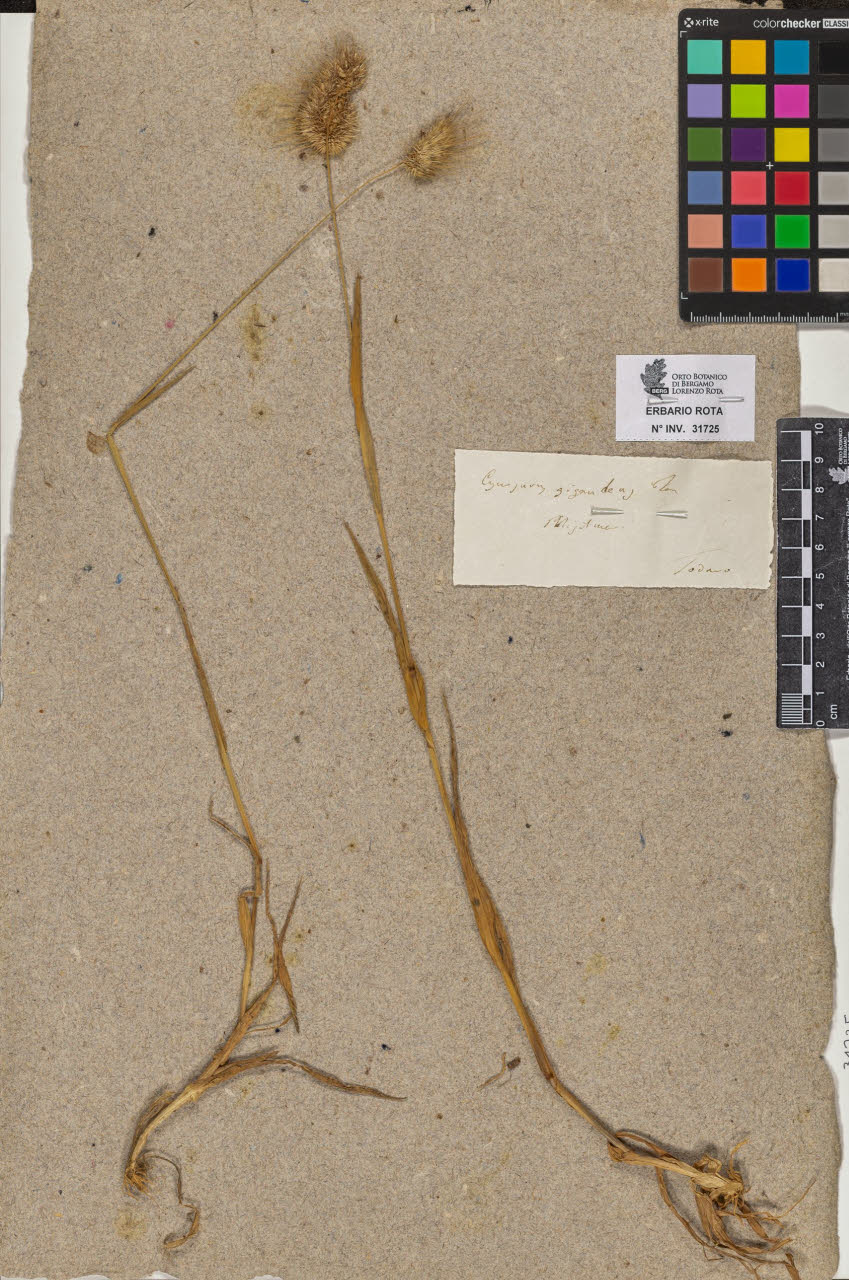 SW_BNB_s3090-09766_IMG-0000000001