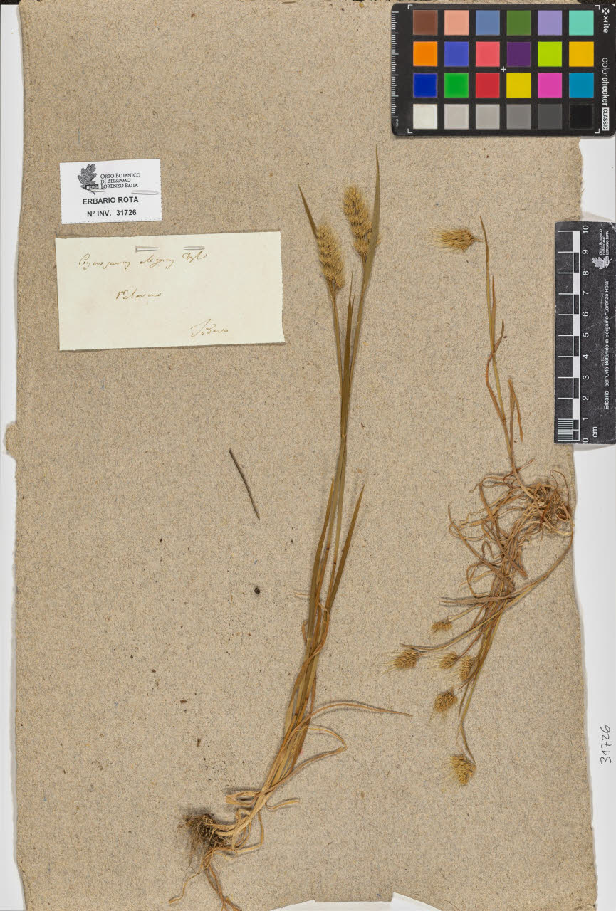 SW_BNB_s3090-09767_IMG-0000000001