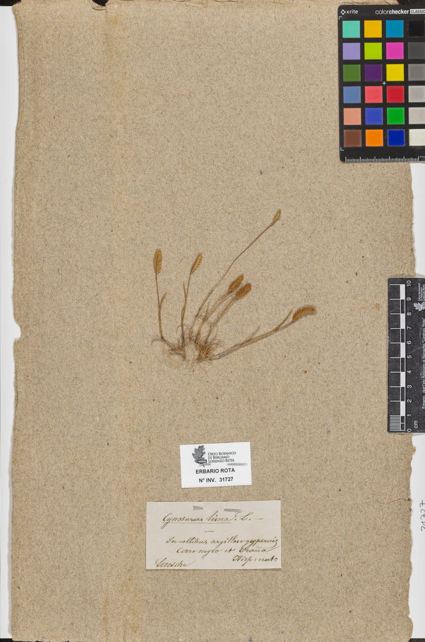 SW_BNB_s3090-09768_IMG-0000000001