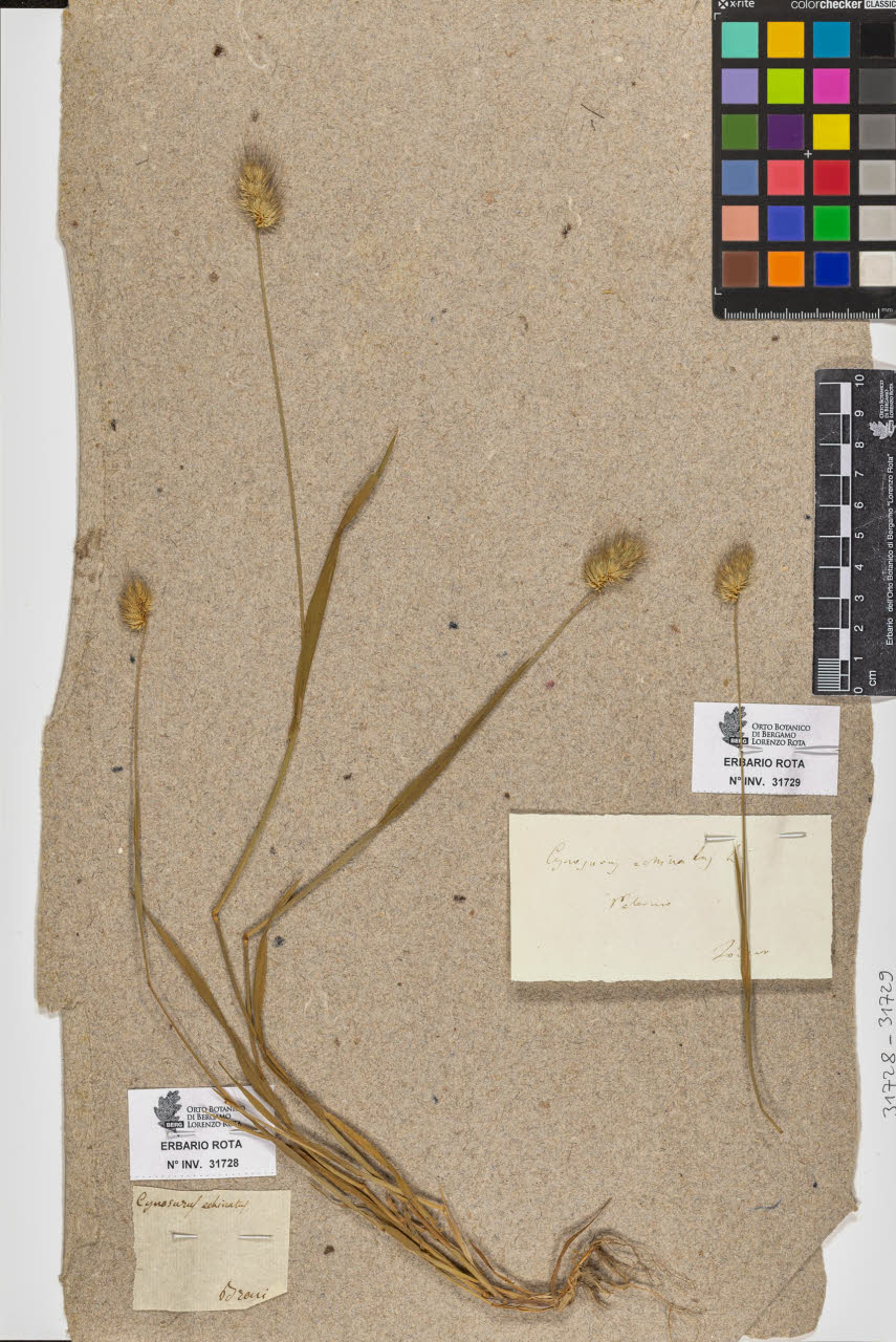 SW_BNB_s3090-09770_IMG-0000000001