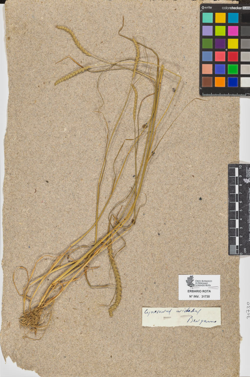 SW_BNB_s3090-09771_IMG-0000000001