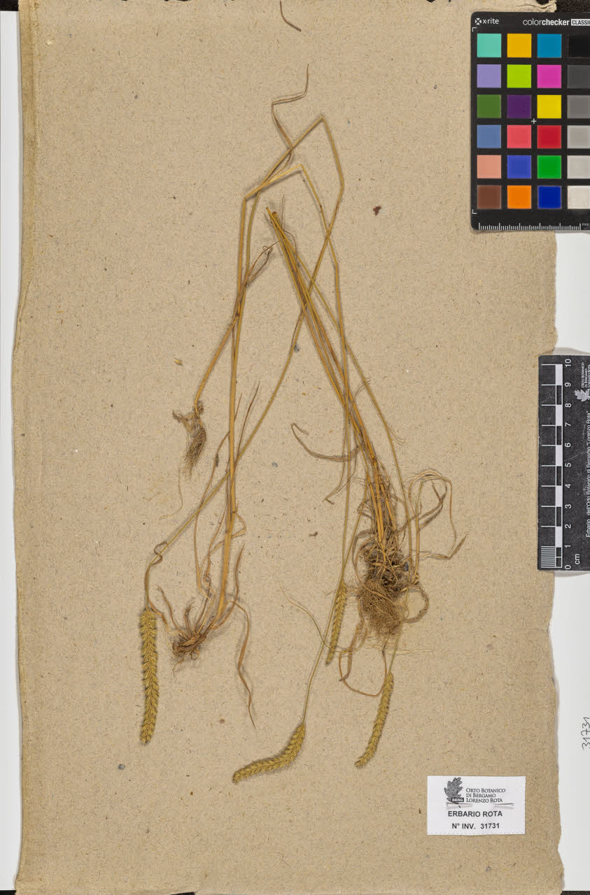 SW_BNB_s3090-09772_IMG-0000000001