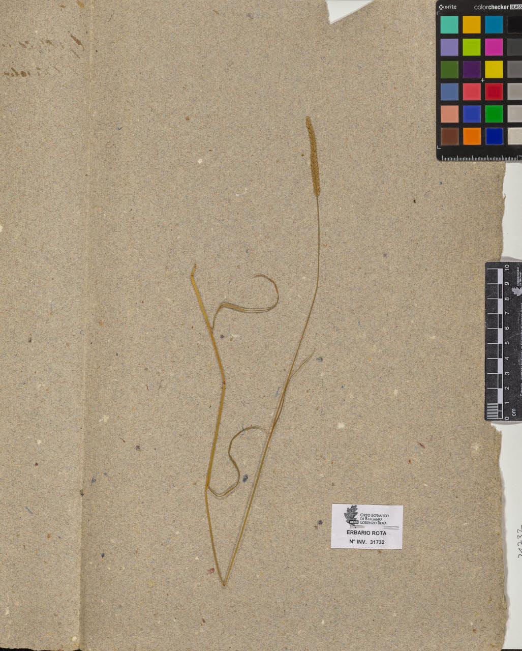 SW_BNB_s3090-09773_IMG-0000000001