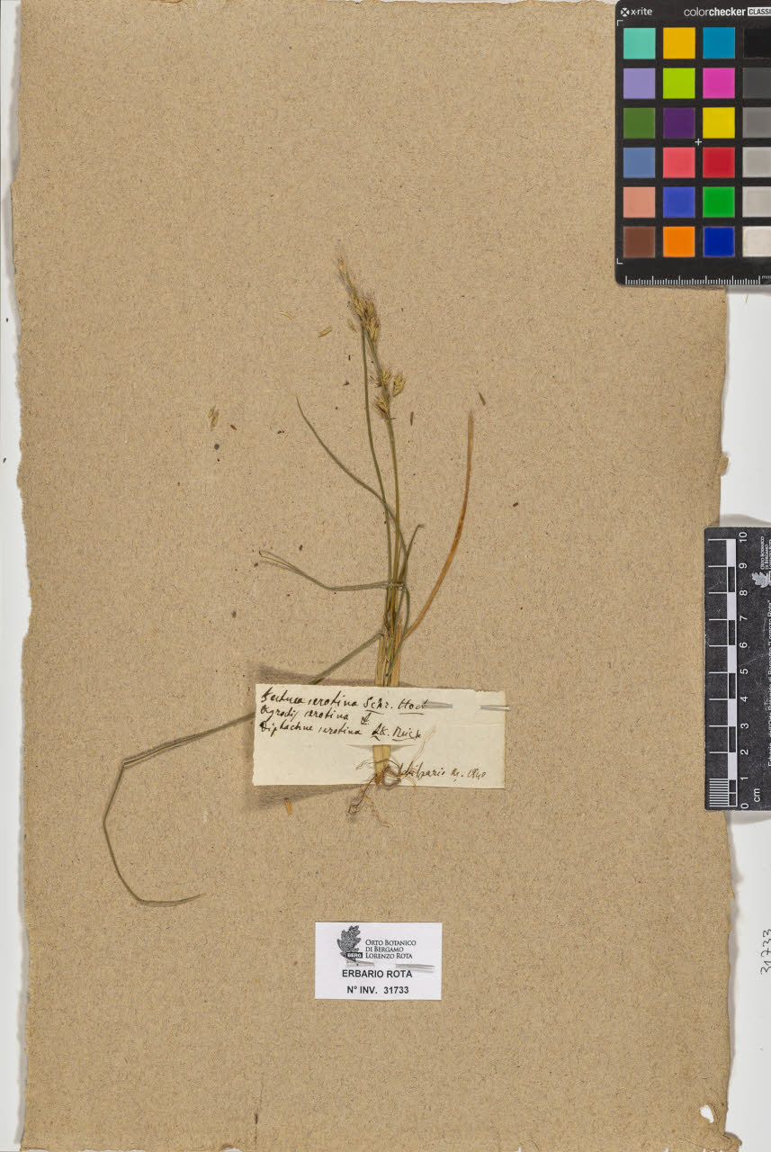 SW_BNB_s3090-09774_IMG-0000000001