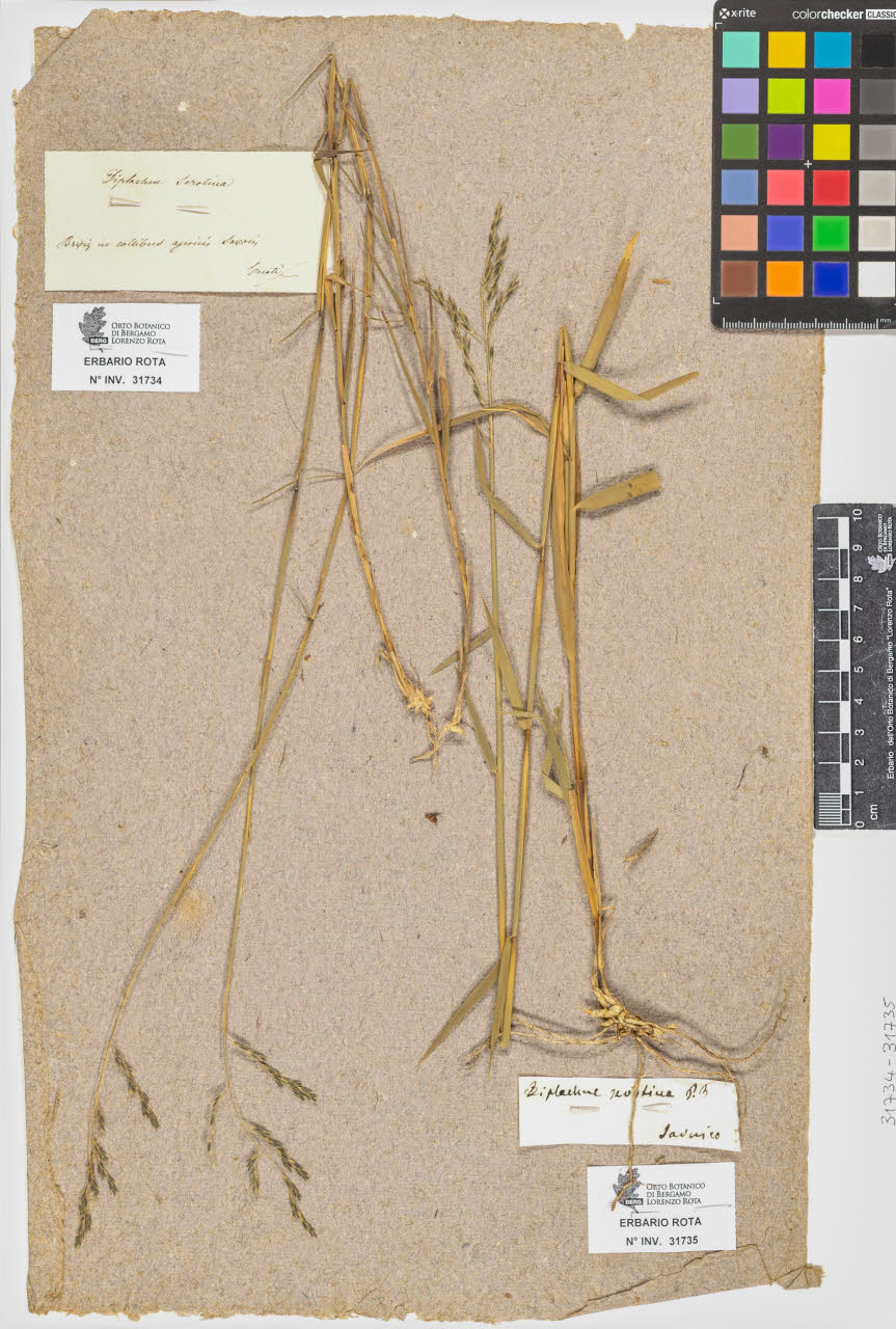 SW_BNB_s3090-09776_IMG-0000000001