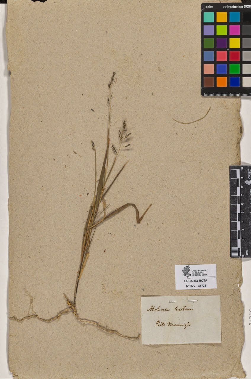 SW_BNB_s3090-09777_IMG-0000000001