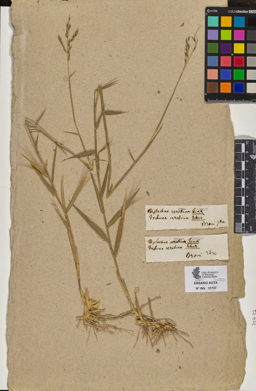 SW_BNB_s3090-09778_IMG-0000000001