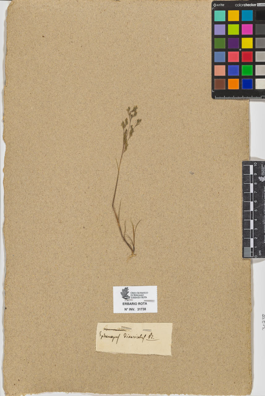 SW_BNB_s3090-09779_IMG-0000000001