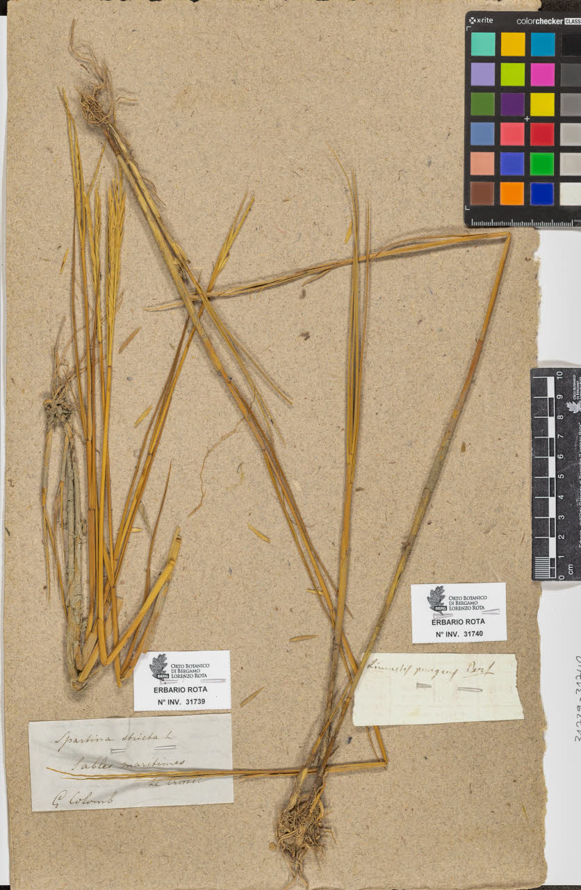 SW_BNB_s3090-09781_IMG-0000000001