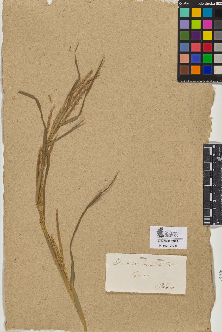 SW_BNB_s3090-09782_IMG-0000000001