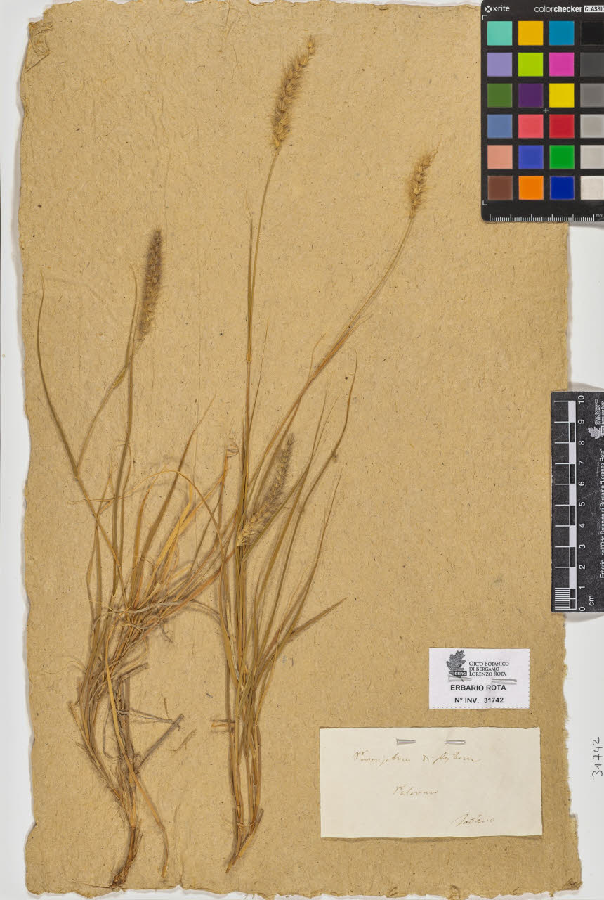 SW_BNB_s3090-09783_IMG-0000000001